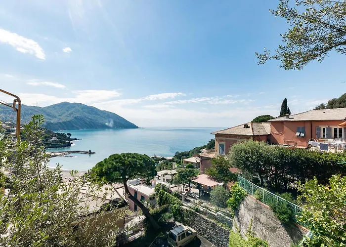 Pet-friendly Vista Mare *